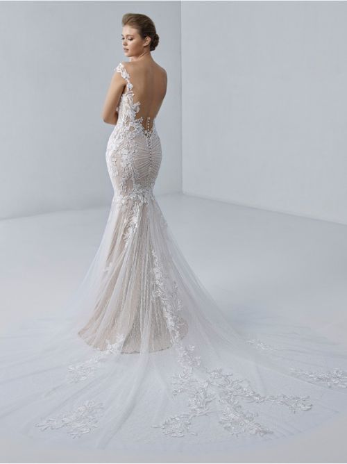 Back view